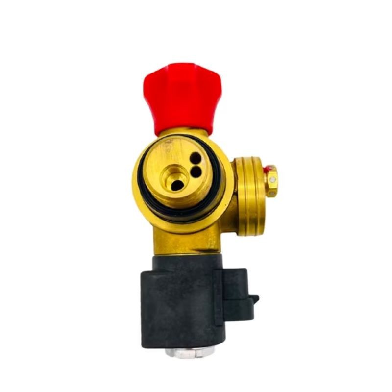 CNG Gas Cylinder Valve